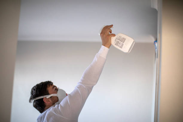 Best Fast Mold Removal  in Crothersville, IN