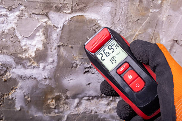 Best Emergency Mold Removal  in Crothersville, IN