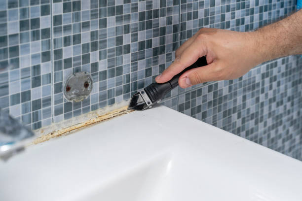 Best Mold Removal Company Near Me  in Crothersville, IN