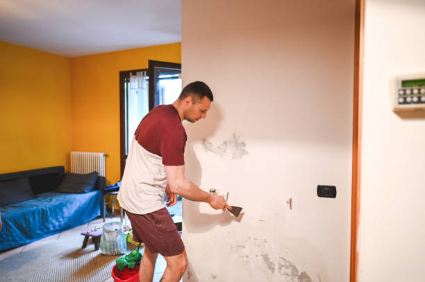 Best Mold Removal Process  in Crothersville, IN