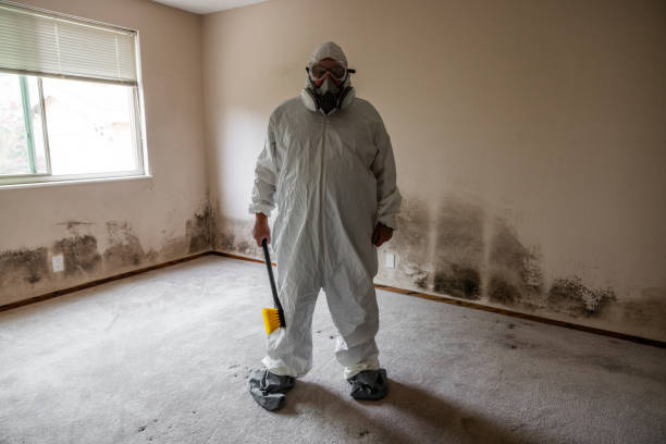 Best Mold Remediation  in Crothersville, IN